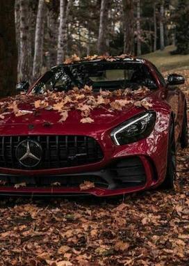 خرید سپر جلو و عقب خودروهای ایرانی با تمامی رنگ‌ها | تهران صنعت آبنوس